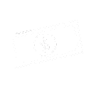 Home 17 Money Icon